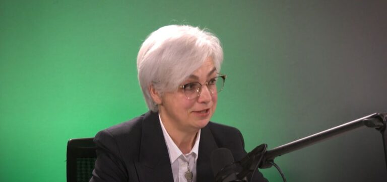 Kas ir IDI un kāda ir revīzijas komitejas loma organizācijā?